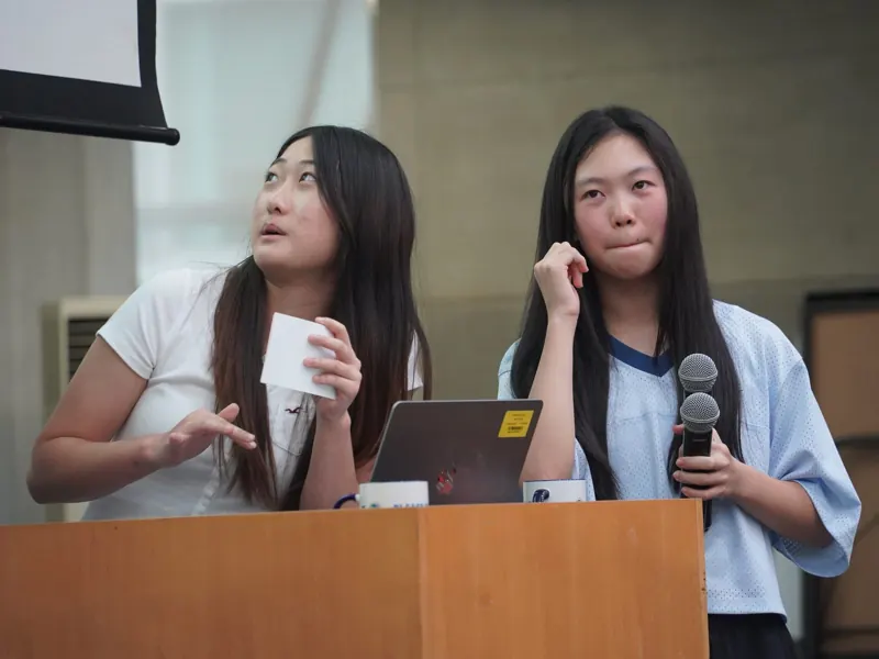 Presenting to the panel